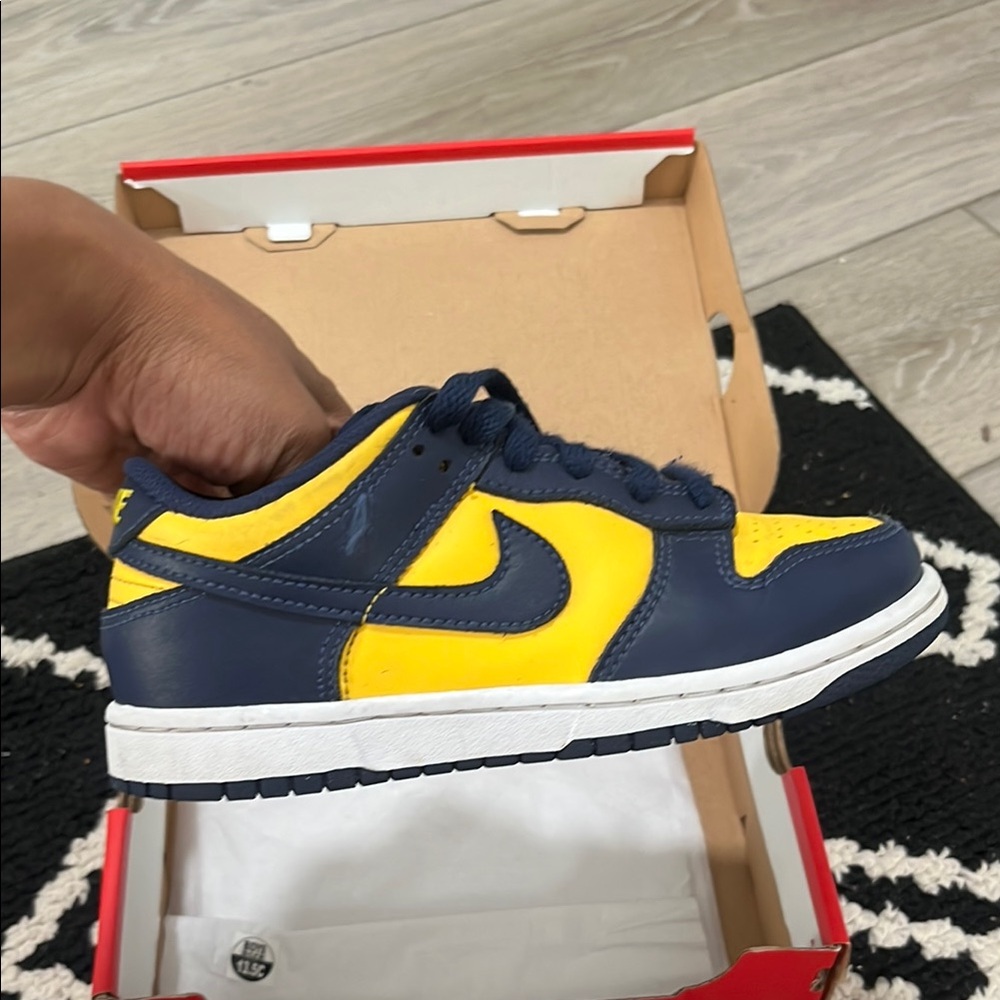 Kids Nike Dunk Low PS